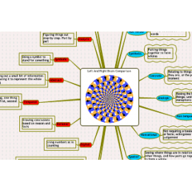 Left Brain and Right Brain Map