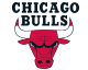 bulls